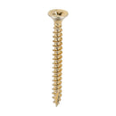 TIMCO Screws TIMCO Classic Multi-Purpose Countersunk Gold Woodscrews