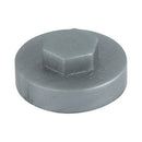 TIMCO Screws TIMCO Hex Head Cover Caps Dark Silver - 19mm